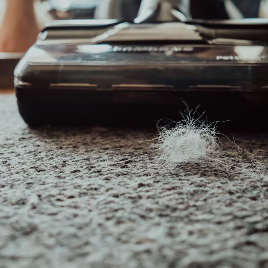 Using vacuum cleaner with brush at home from fur, closeup. Domestic animals in house. Garbage, pet hair concept. High quality photo